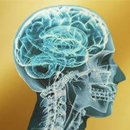 graphic of skull digital image